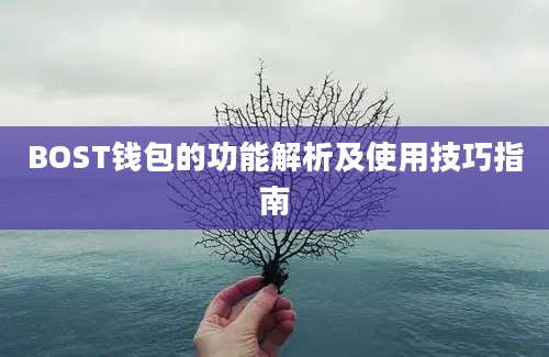 BOST钱包的功能解析及使用技巧指南