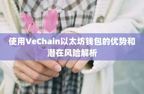 使用VeChain以太坊钱包的优势和潜在风险解析