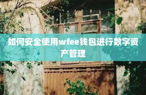 如何安全使用wfee钱包进行数字资产管理