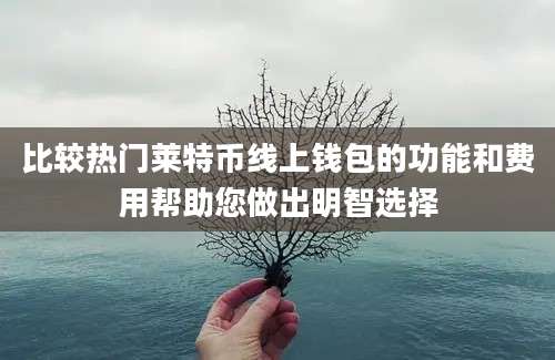 比较热门莱特币线上钱包的功能和费用帮助您做出明智选择