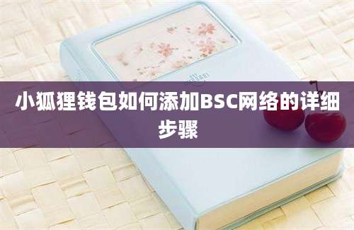 小狐狸钱包如何添加BSC网络的详细步骤