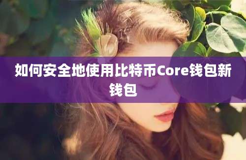 如何安全地使用比特币Core钱包新钱包