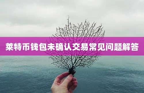 莱特币钱包未确认交易常见问题解答