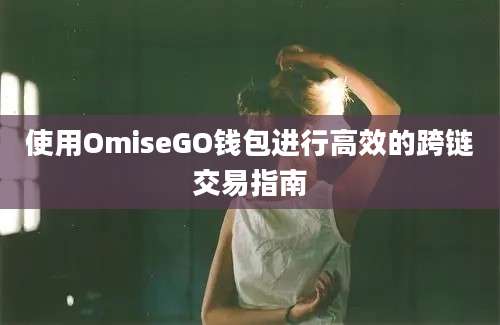 使用OmiseGO钱包进行高效的跨链交易指南