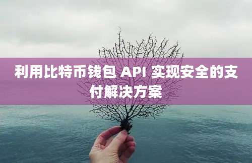 利用比特币钱包 API 实现安全的支付解决方案