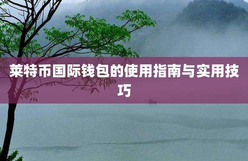 莱特币国际钱包的使用指南与实用技巧