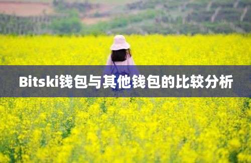 Bitski钱包与其他钱包的比较分析