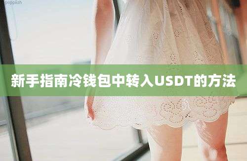 新手指南冷钱包中转入USDT的方法