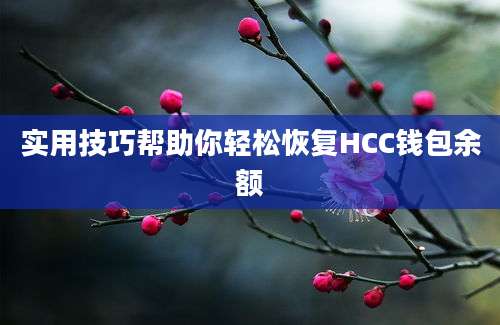 实用技巧帮助你轻松恢复HCC钱包余额