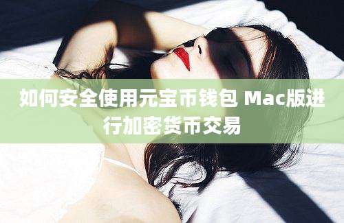 如何安全使用元宝币钱包 Mac版进行加密货币交易