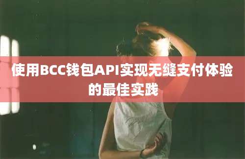 使用BCC钱包API实现无缝支付体验的最佳实践