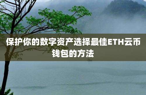 保护你的数字资产选择最佳ETH云币钱包的方法