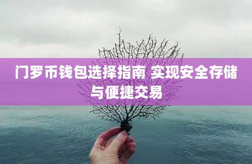 门罗币钱包选择指南 实现安全存储与便捷交易