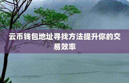 云币钱包地址寻找方法提升你的交易效率