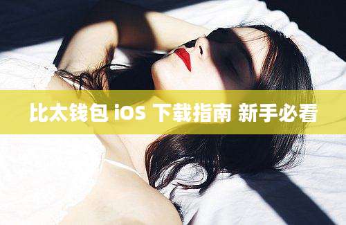 比太钱包 iOS 下载指南 新手必看