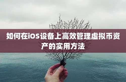 如何在iOS设备上高效管理虚拟币资产的实用方法