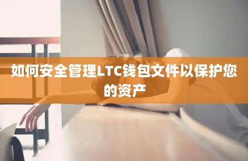 如何安全管理LTC钱包文件以保护您的资产