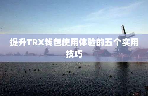 提升TRX钱包使用体验的五个实用技巧