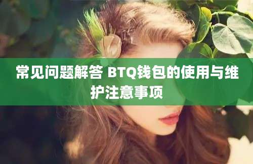 常见问题解答 BTQ钱包的使用与维护注意事项