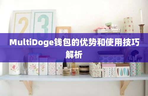 MultiDoge钱包的优势和使用技巧解析