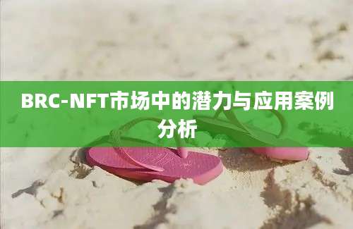 BRC-NFT市场中的潜力与应用案例分析