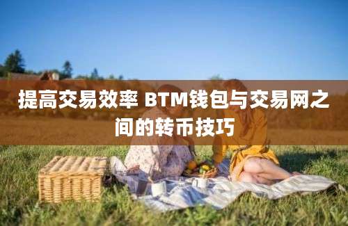 提高交易效率 BTM钱包与交易网之间的转币技巧