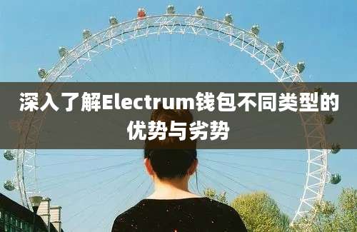 深入了解Electrum钱包不同类型的优势与劣势