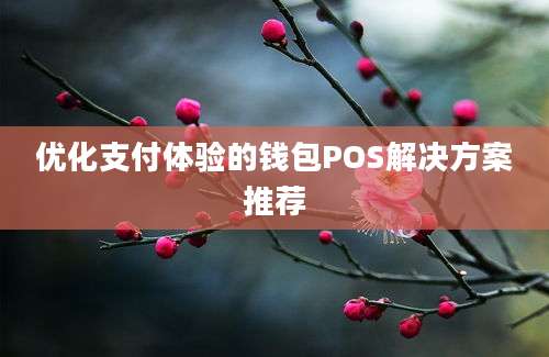 优化支付体验的钱包POS解决方案推荐