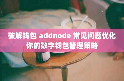 破解钱包 addnode 常见问题优化你的数字钱包管理策略