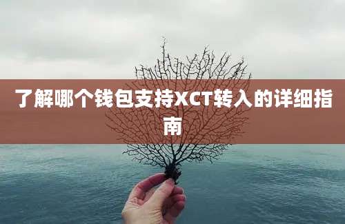 了解哪个钱包支持XCT转入的详细指南