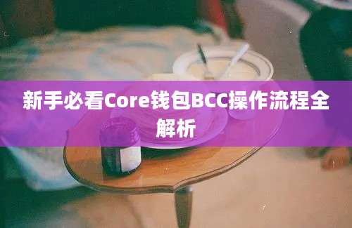 新手必看Core钱包BCC操作流程全解析