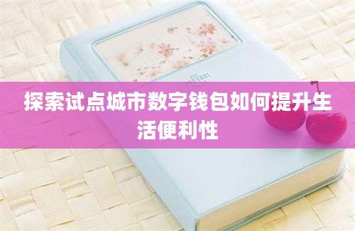 探索试点城市数字钱包如何提升生活便利性