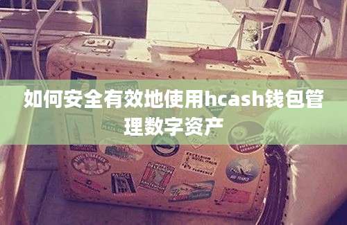 如何安全有效地使用hcash钱包管理数字资产