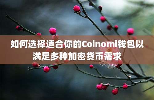 如何选择适合你的Coinomi钱包以满足多种加密货币需求