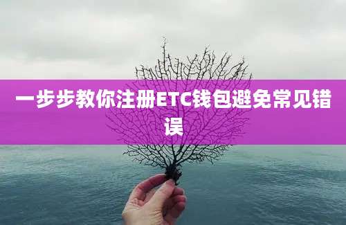 一步步教你注册ETC钱包避免常见错误