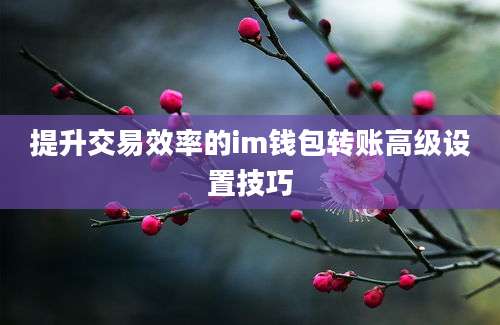 提升交易效率的im钱包转账高级设置技巧