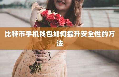 比特币手机钱包如何提升安全性的方法