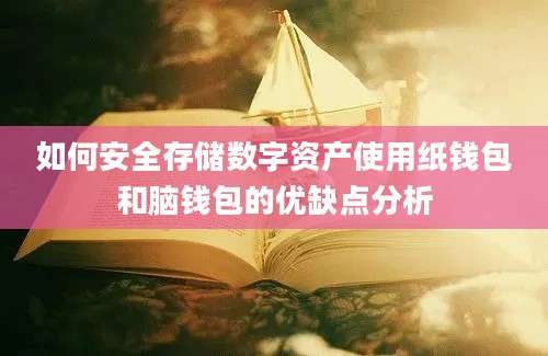 如何安全存储数字资产使用纸钱包和脑钱包的优缺点分析