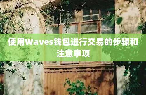 使用Waves钱包进行交易的步骤和注意事项