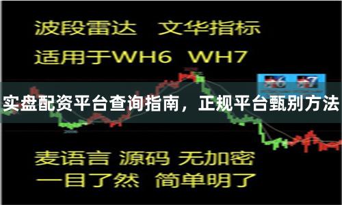 实盘配资平台查询指南，正规平台甄别方法