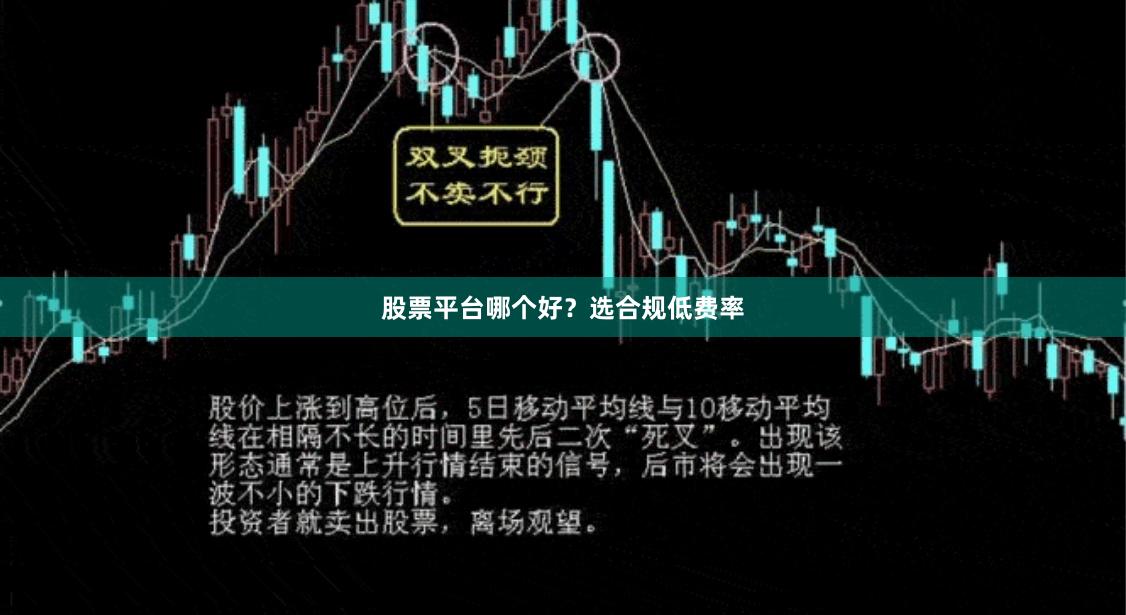 股票平台哪个好？选合规低费率