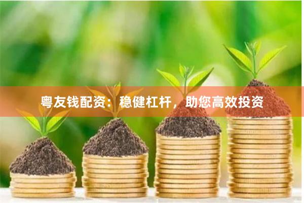 粤友钱配资：稳健杠杆，助您高效投资