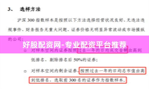 好股配资网-专业配资平台推荐